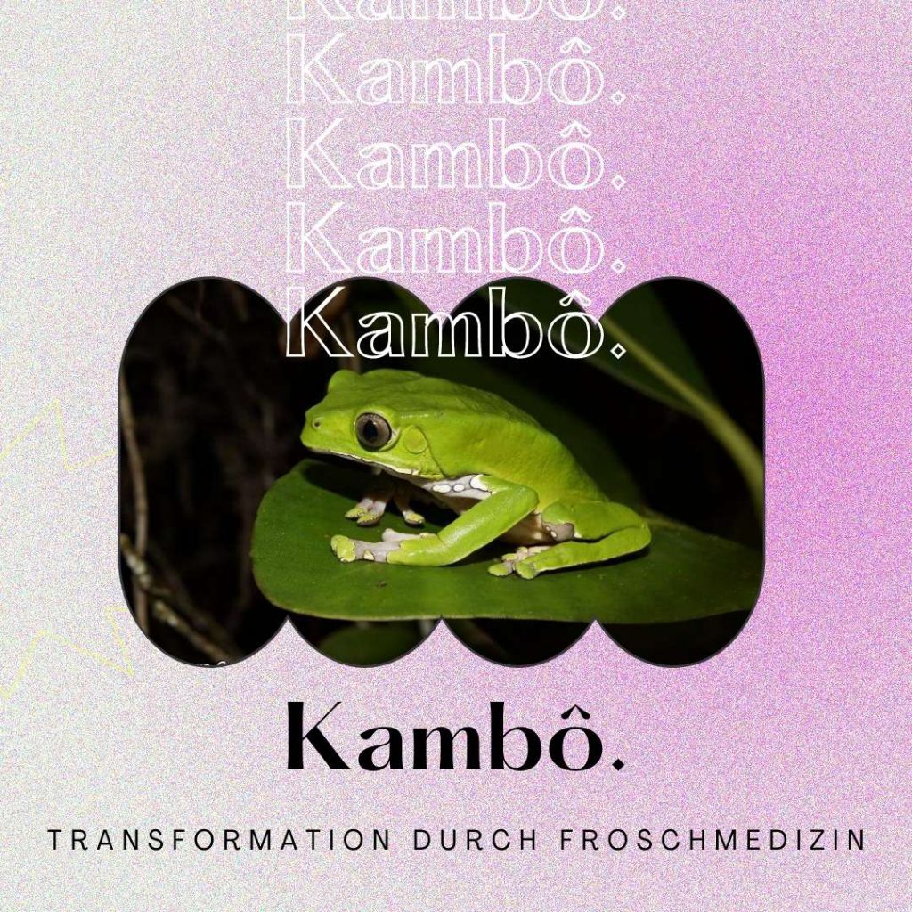 Transformation durch Kambô Frosch