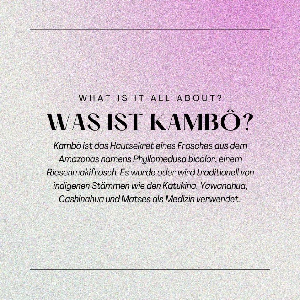 Infografik: Was ist Kambô