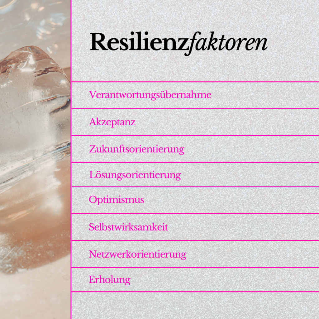 Säulen der Resilienz & Resilienzfaktoren